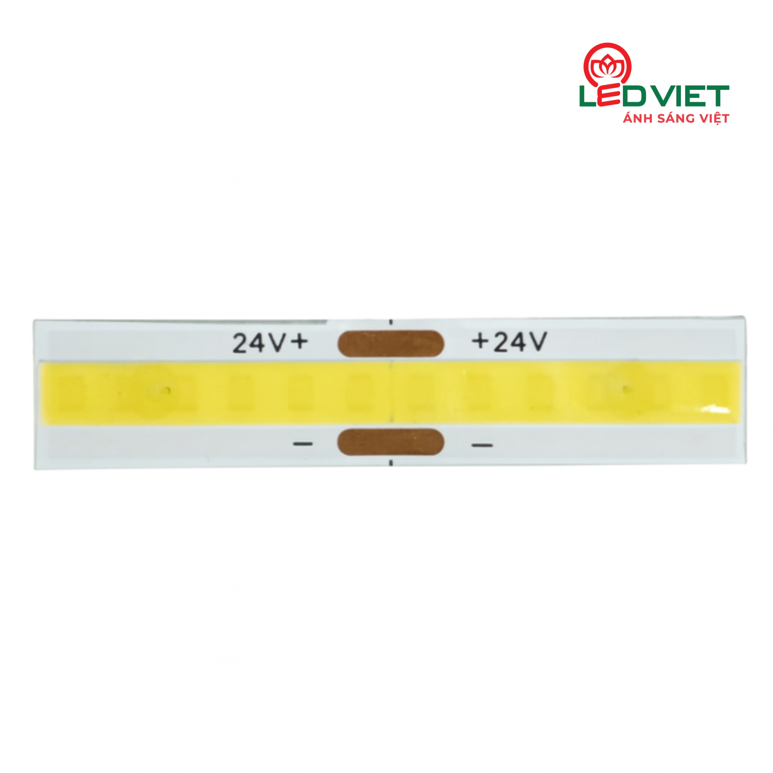 Đèn LED dây dán LDDC-12-COB-V/TT/T-24